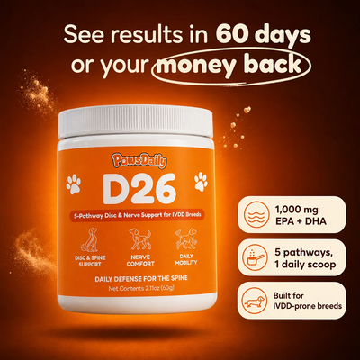 PawsDaily's D26