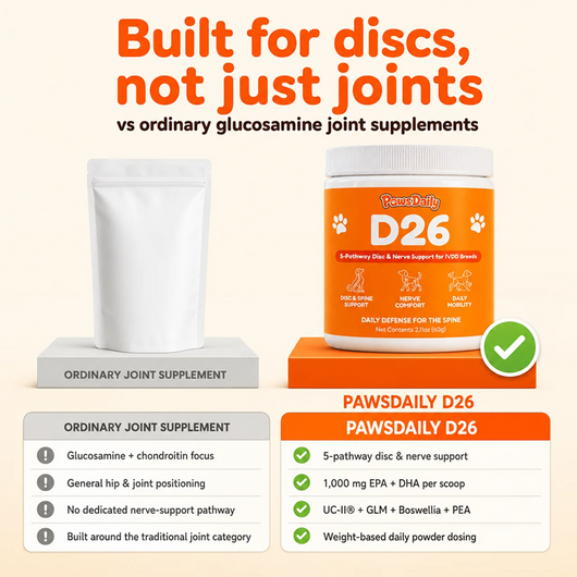 PawsDaily's D26