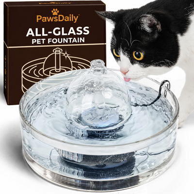PawsDaily All-Glass Cat Water Fountain