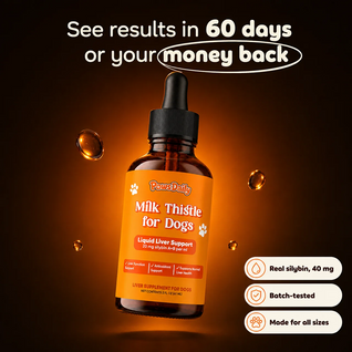 Milk Thistle For Dogs