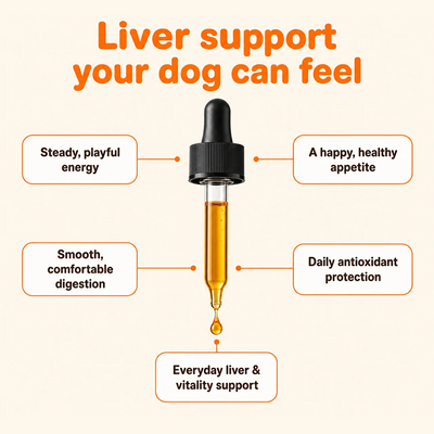 Milk Thistle For Dogs