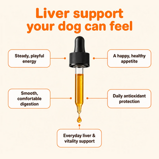 Milk Thistle For Dogs