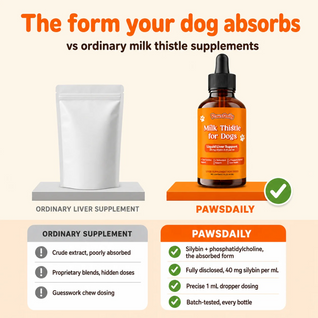 Milk Thistle For Dogs