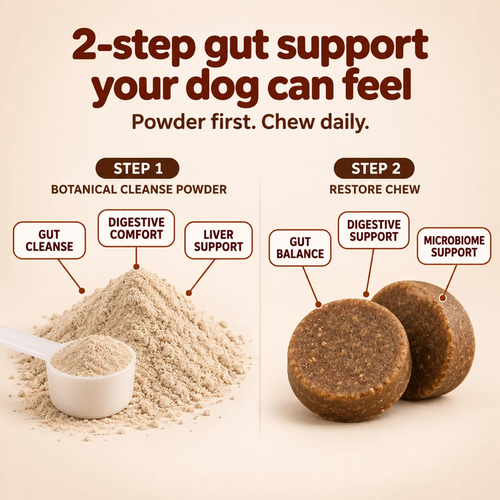 Paws Daily®️ 2-Step Parasite Cleanse Kit